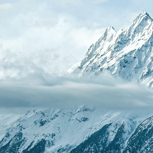 首页-人生就是博手机版