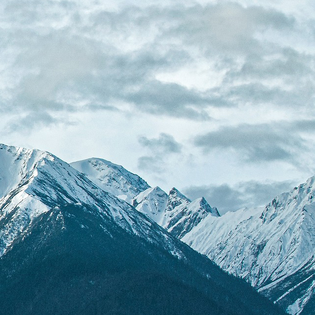 首页-人生就是博手机版