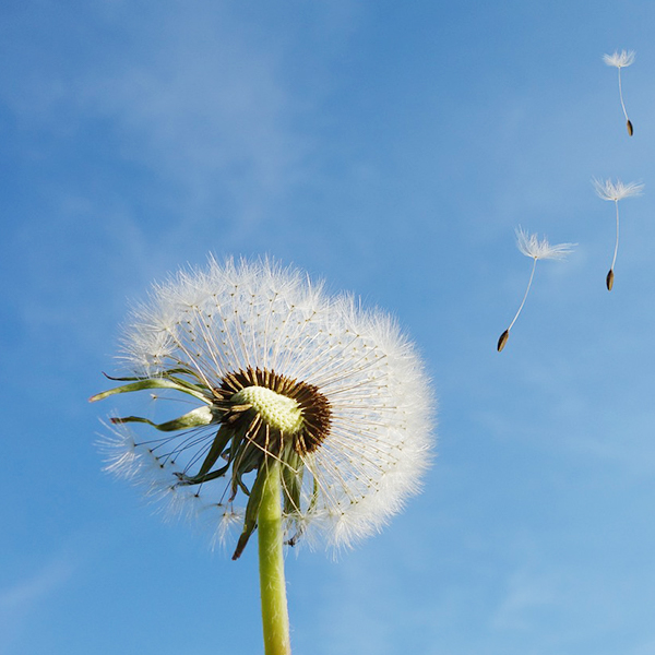 首页-人生就是博手机版