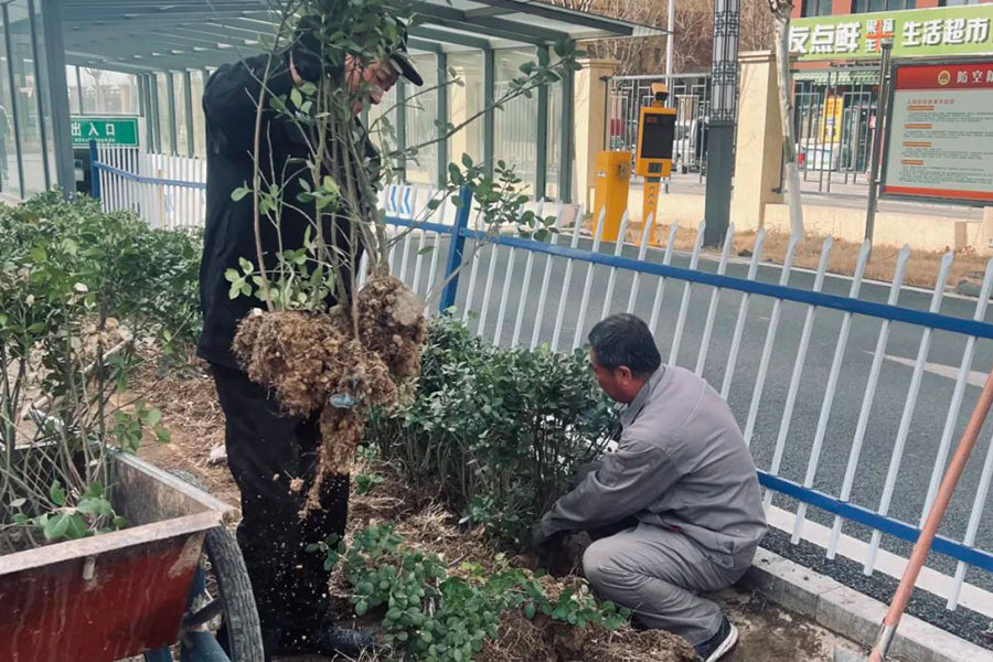 首页-人生就是博手机版